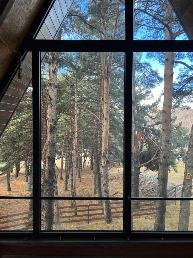 Elia Loft Villa Казбеги Екстериор снимка