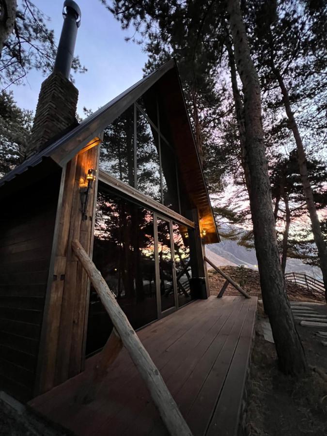 Elia Loft Villa Казбеги Екстериор снимка